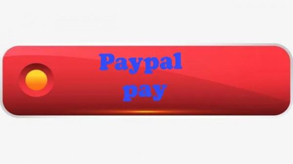 如何用32個月建立一家影響世界的公司《支付戰爭》 如何用32個月建立一家影響世界的公司《支付戰爭》