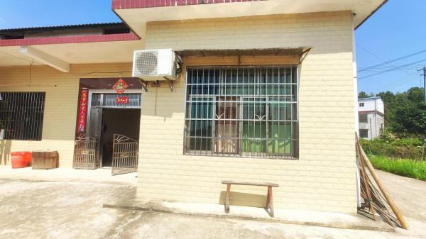 家裡的院子空蕩蕩的好可惜 家裡的院子空蕩蕩的好可惜