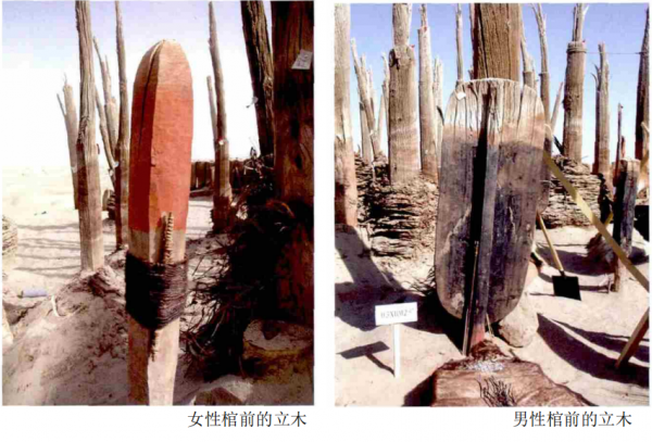 03年，新疆小河墓地挖出小河公主，4000年不腐，神秘微笑讓人難忘