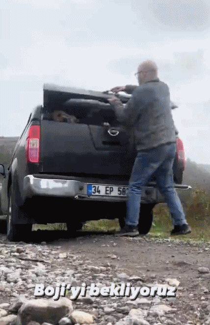 土耳其大叔自從收養了流浪動物後,愛心氾濫一發不可收拾了 土耳其大叔自從收養了流浪動物後,愛心氾濫一發不可收拾了