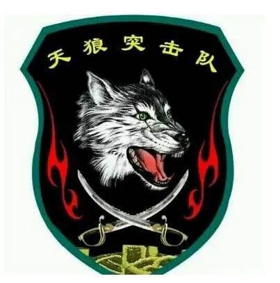 一起祭奠英雄溫濤,致敬人民子弟兵 一起祭奠英雄溫濤,致敬人民子弟兵