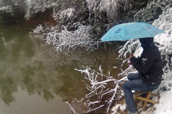 冬釣想要好魚獲，其實真的有秘籍，學會四個勤，多冷都不怕沒魚口