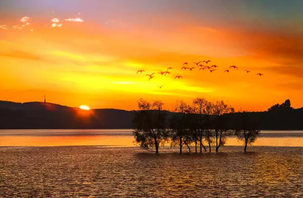 南國的樹葉，北國的白雪，這麼美的季節，怎忍心辜負？出發吧