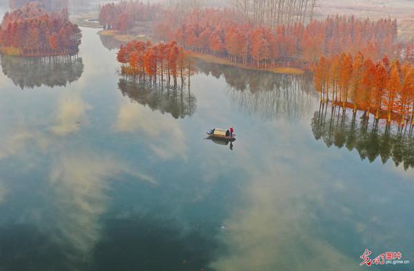 江蘇盱眙:冬景如畫天泉湖 江蘇盱眙:冬景如畫天泉湖