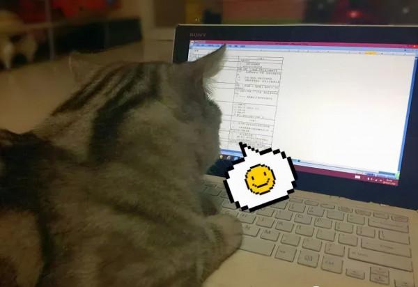 一入採購深似海,從此週末是路人 一入採購深似海,從此週末是路人