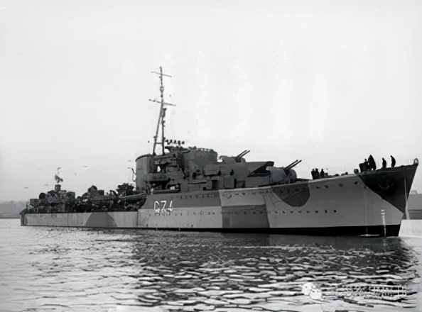 除了警犬，你知道棕熊和貓，也曾是戰場上的一員嗎？