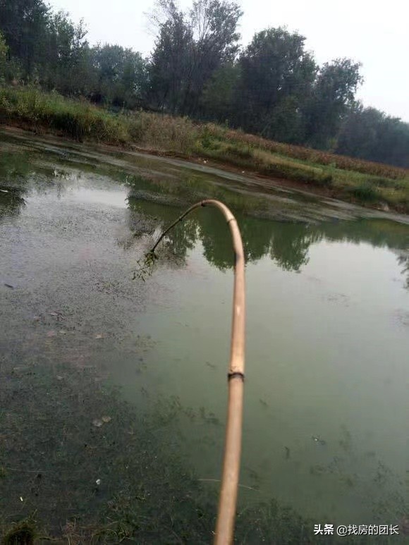 你是否懷念兒時釣魚的時光,裝備簡單,反而能釣到很多魚 你是否懷念兒時釣魚的時光,裝備簡單,反而能釣到很多魚