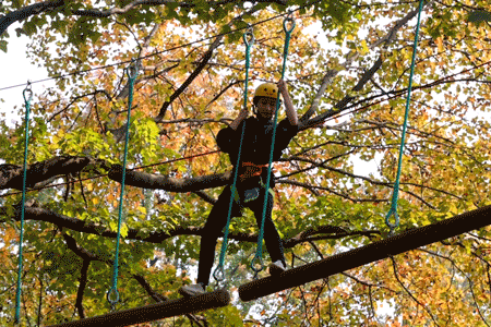 磨山最新玩法!在森林裡飛越穿梭,好刺激 磨山最新玩法!在森林裡飛越穿梭,好刺激