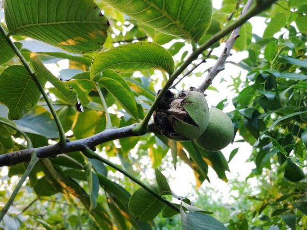 摩托周邊旮旯遊——尋朱元璋出家之於皇寺 摩托周邊旮旯遊——尋朱元璋出家之於皇寺