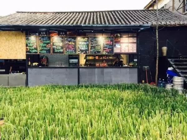 菜吧:稻田裡的民宿,滿足了人們對田園風光的無限遐想 菜吧:稻田裡的民宿,滿足了人們對田園風光的無限遐想