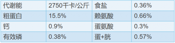 提高蛋雞產蛋量的營養要點