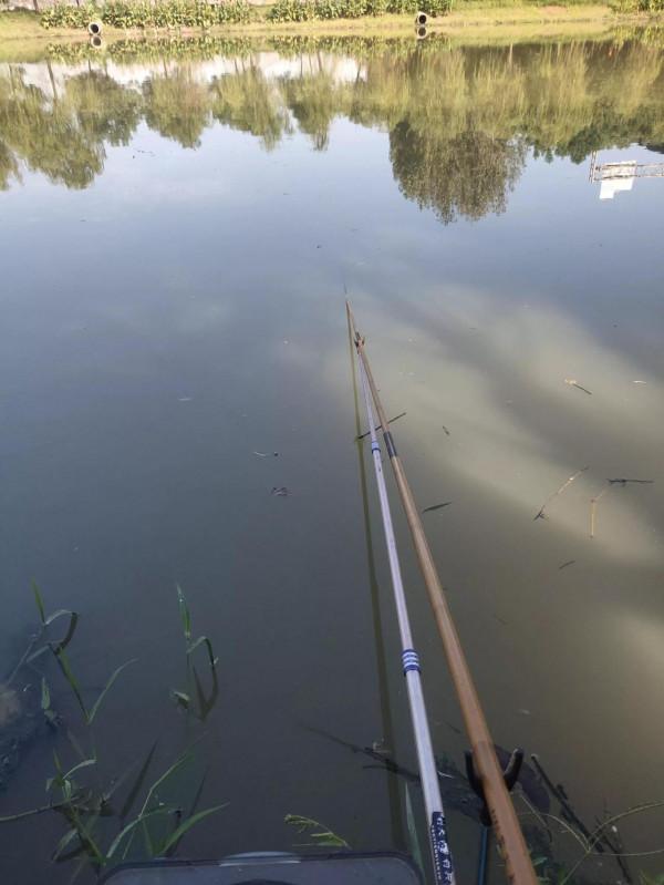 “秋天到，魚好釣”。但小魚鬧窩大魚難釣，釣大魚的方法來了