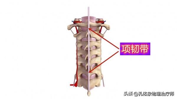 轉動脖子的時候咔咔響，是好還是壞？經常按摩的人，需要注意啥