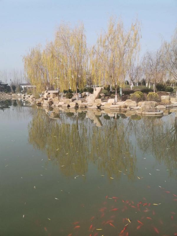 公園湖畔，景色宜人