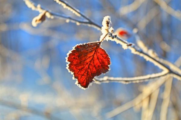 以普魯斯特抵抗絕望