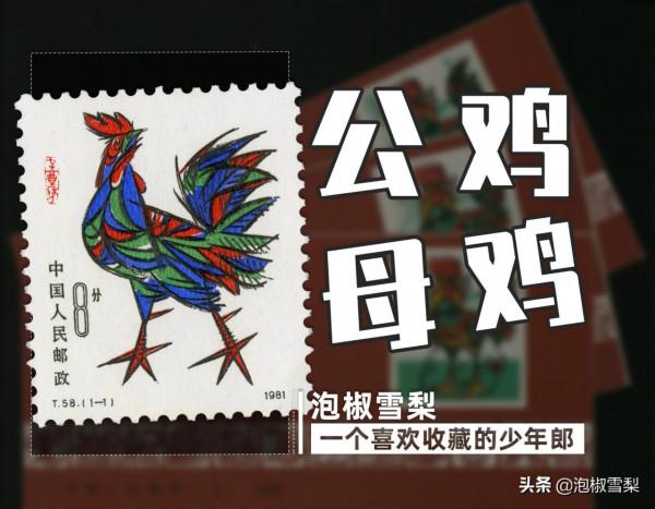 都是郵政發行,1981年雞郵票,為什麼會有公雞、母雞之分? 都是郵政發行,1981年雞郵票,為什麼會有公雞、母雞之分?