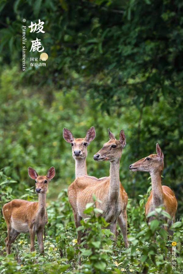 出發！看中國五大國家公園