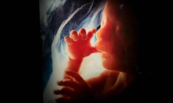 十月懷胎,媽媽和孩子會經歷什麼?令人驚訝,胎寶寶也在照顧媽媽 十月懷胎,媽媽和孩子會經歷什麼?令人驚訝,胎寶寶也在照顧媽媽