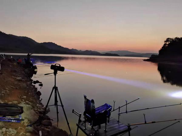 實戰調漂釣鯉魚，散炮誘釣打頻率