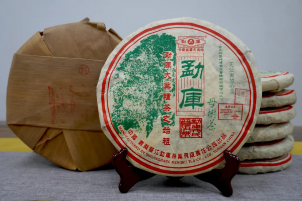 解析臨滄茶區：勐庫十八寨，寨寨出好茶，冰島茶何以冠絕天下？