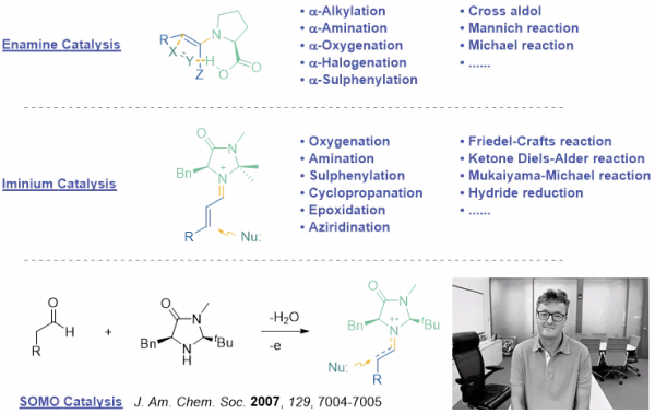 深度解讀：不對稱催化獲諾獎，理綜獎迴歸傳統化學