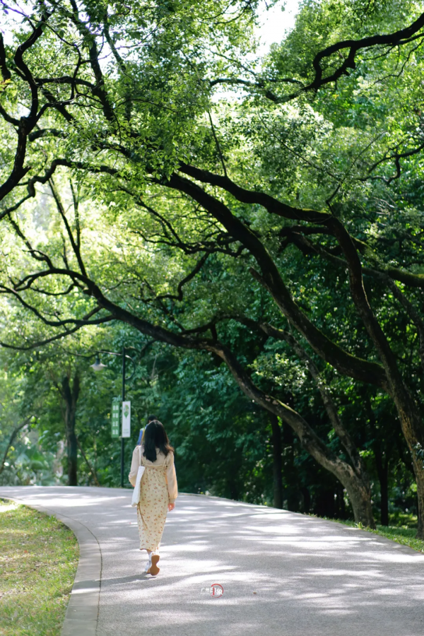 抓住秋天的影子，至少要去一次「華南植物園」