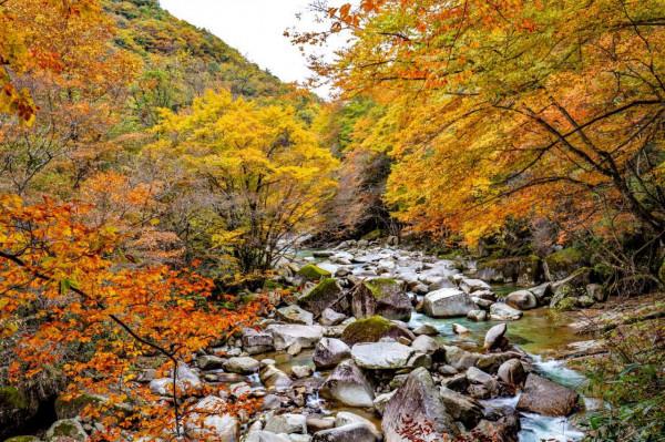 黑熊溝——四川光霧山