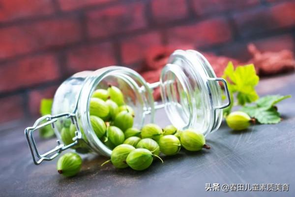 教程 | 適用於三年級以上—少兒美術課程《燈籠果》