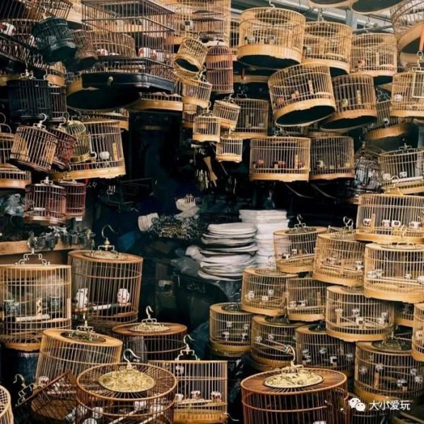 京城八大寶藏花市裡,藏著孩子最愛的植物園和水族館,冬日逛起來 京城八大寶藏花市裡,藏著孩子最愛的植物園和水族館,冬日逛起來