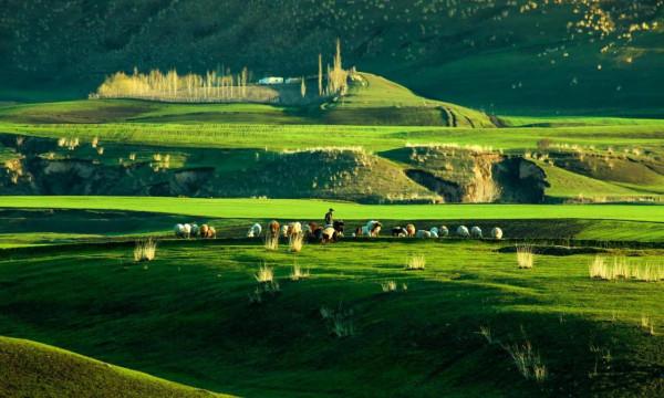 新疆那拉提草原風光 新疆那拉提草原風光