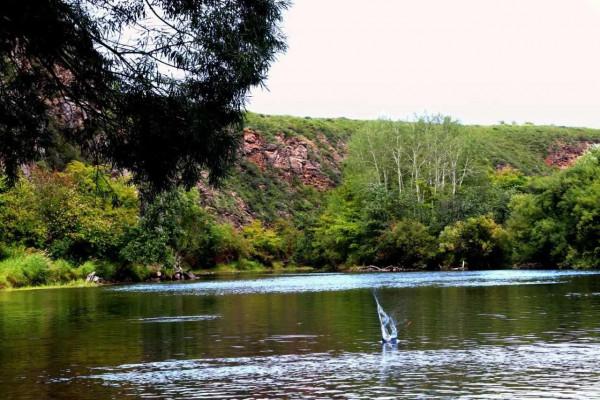 你們知道喝什麼水對身體才好嗎? 你們知道喝什麼水對身體才好嗎?