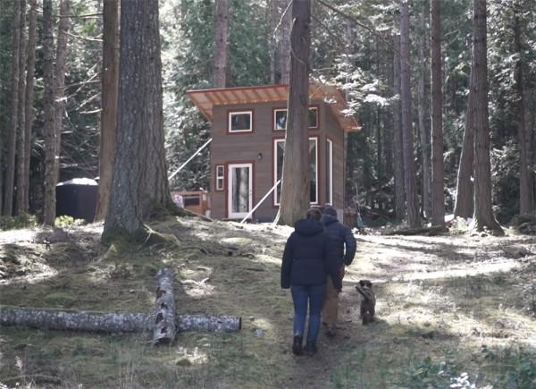 一對夫婦在荒島上住2年,蓋起10㎡蝸居,“離網”的日子簡單快樂 一對夫婦在荒島上住2年,蓋起10㎡蝸居,“離網”的日子簡單快樂