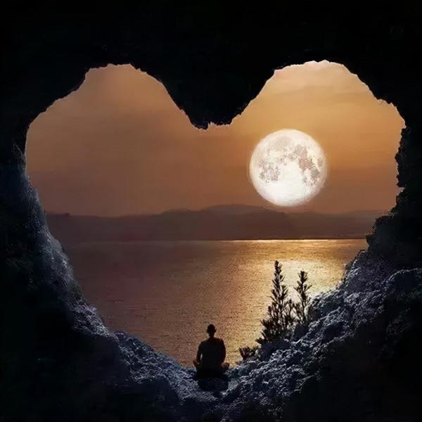 賞讀：孤獨，一樹繁花的美麗