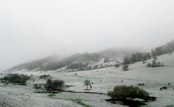 凍死人的1816年究竟多慘?歐洲20萬人暴斃,6月暴雪7月結冰 凍死人的1816年究竟多慘?歐洲20萬人暴斃,6月暴雪7月結冰