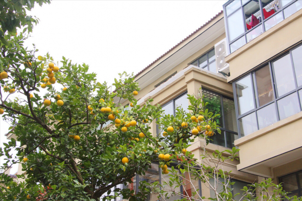 43歲保姆3個月內加薪兩次,月薪達到10000元,保姆:我心慌了 43歲保姆3個月內加薪兩次,月薪達到10000元,保姆:我心慌了