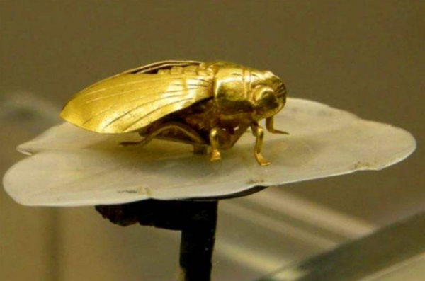 江蘇出土500年前的“金蟬玉葉”,純金打造,專家:國寶級文物 江蘇出土500年前的“金蟬玉葉”,純金打造,專家:國寶級文物