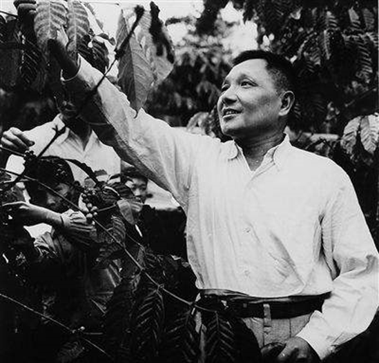 傅涯與陳賡日久生情，結婚3年後，一小夥找上門：我是陳賡的兒子