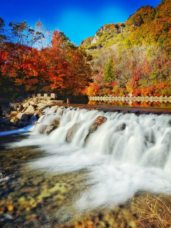大石湖老邊溝景區 楓紅景美秋色濃