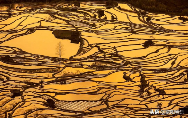 這20個地方藏著中國最美的冬天，2021最後一個月，錯過再等一年