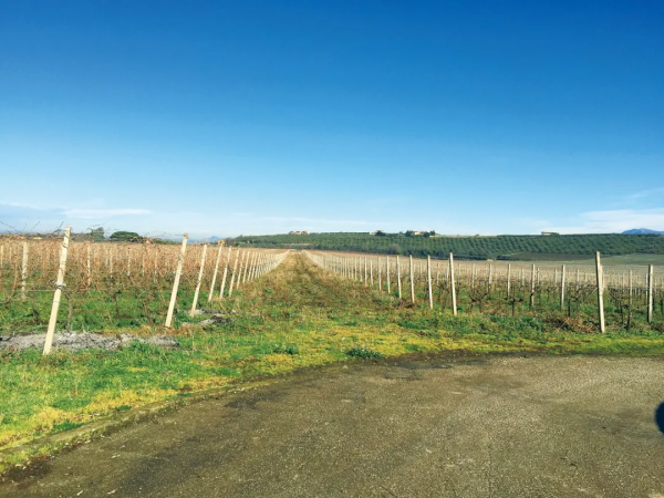 羅馬士兵解甲歸田之感在這裡油然而生
