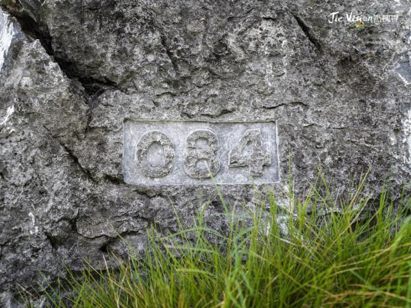 白崇禧真曾“良心發現”想放紅軍一馬？紅軍最慘烈的一戰 湘江戰役