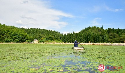 秋田青森夏季行程攻略：白神山地、燈籠祭、海景觀光列車一次滿足