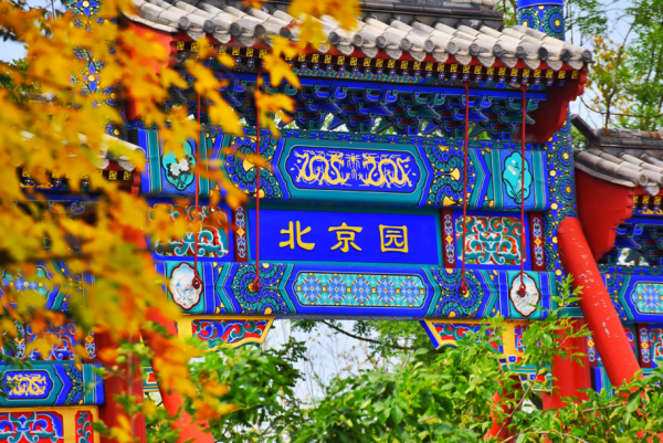 秋日靜美，斑斕如斯，北京號帶您“雲”賞深秋