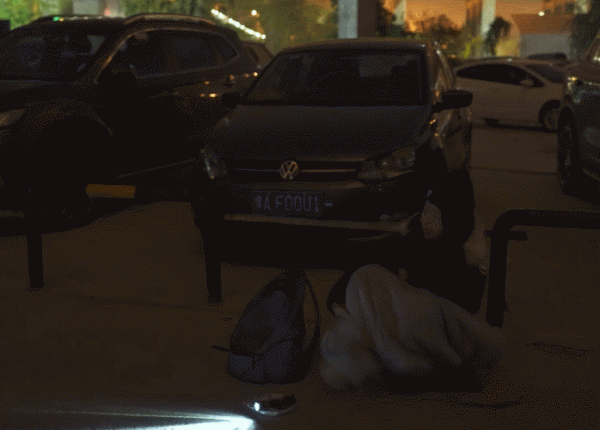 大二女生休學半年千里尋貓：無論如何，也要找到你