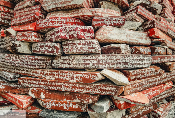 兩個人，一輛車，阿里北線無人區穿越