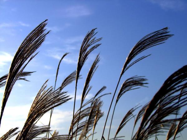 遠處江湖忠直道，豪時慷慨作良臣（公園城市之歷史人物）