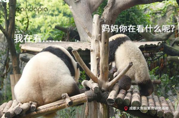 依稀記得當初網購是為了省錢來著？