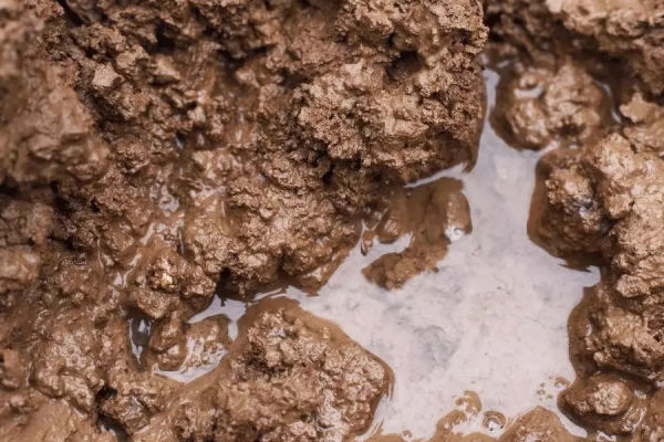 壎,被逐漸遺忘的中國天籟 壎,被逐漸遺忘的中國天籟