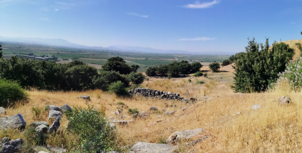 獨自旅行：土耳其&lpar;46&rpar;－遇見你真好