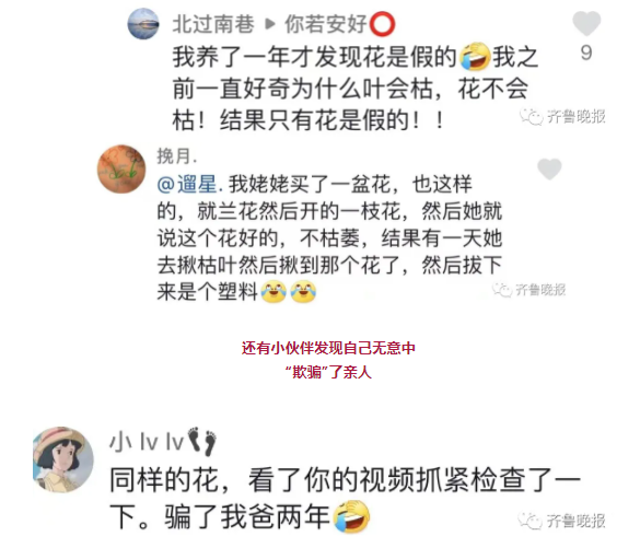 定鬧鐘澆水!女子精心養了半年的花,塑膠的…網友笑瘋 定鬧鐘澆水!女子精心養了半年的花,塑膠的…網友笑瘋